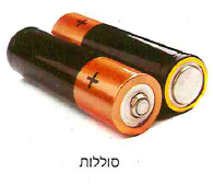 (בספר תמונה, היעזר במנחה) תאי שמש